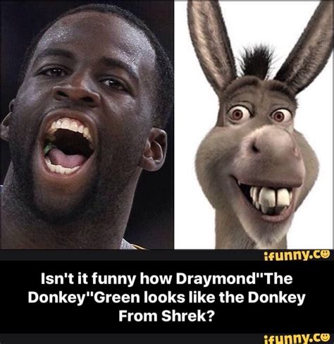 Raptors fan disrespects draymond green by calling him donkey on the street of toronto. Donkey From Shrek Funny Pics