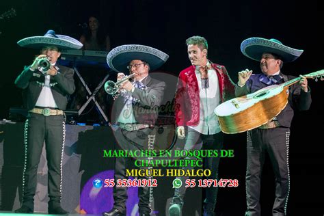 Mariachis En Bosque De Chapultepec Miguel Hidalgo Cdmx Mariachis México
