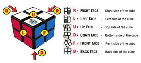 Learn To Solve A 2x2 Rubiks Cube