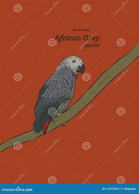 African Grey Parrot Or Congo Grey Parrot Wearing Eye Glasses Standing