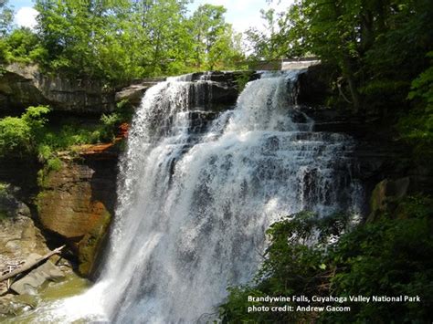 You might need a whole day to complete it, especially if you're not a regular hiker. Brandywine Falls, Cuyahoga Valley National Park (Sagamore ...