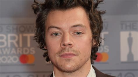 Harry edward styles (born 1 february 1994) is an english singer, songwriter, and actor. 13 Photos Of Harry Styles's Hair That Chart His Shape ...