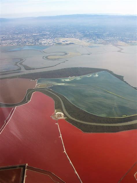 Aerial View San Francisco Bay Salt Ponds Newark Califor Flickr