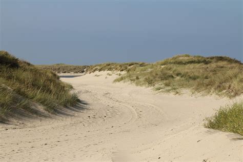 Free Images Sea Coast Nature Grass Sand Air Dune