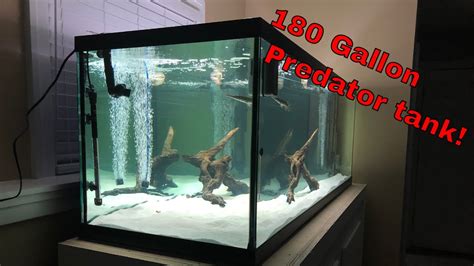 How I Setup My 180 Gallon Predator Tank Youtube