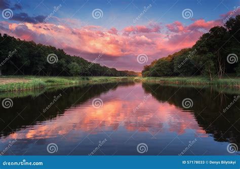 Beautiful Summer Sunset At The River In Forest Stock Image Image Of