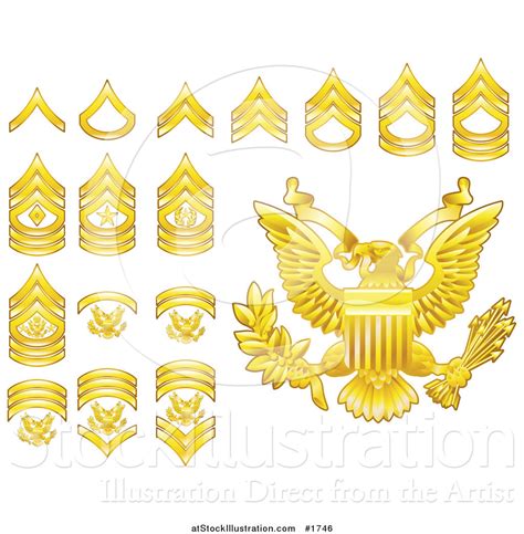 Vector Illustration Of Gold Military American Army Enlisted Rank