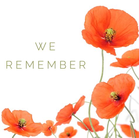 We Remember All Those Who Fought And Served Veteransday Canadaremembers