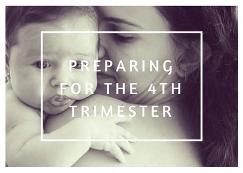 the postnatal period the 4th trimester — sydney doula samantha gunn doula services