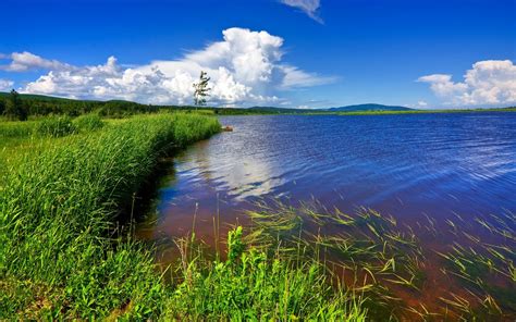 Lake With Dark Blue Water Coast Green Grass Sky With White Clouds