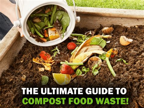 The Ultimate Guide To Compost Food Waste Ecepl