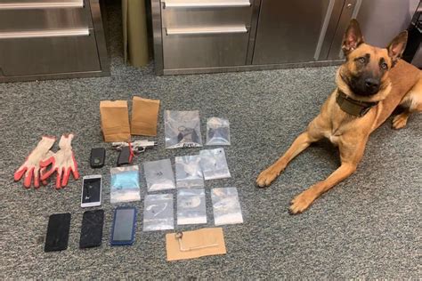 Gun Found After K9 Sniffs Out Drugs During Traffic Stop