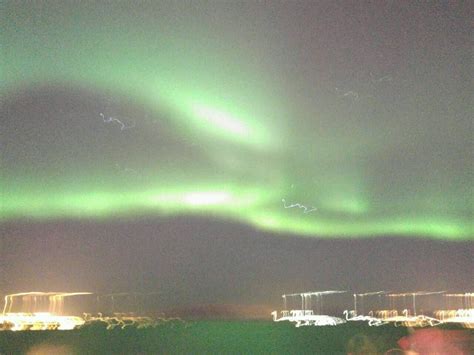 Northern lights | Northern lights cruise, Iceland northern lights tour, Northern lights