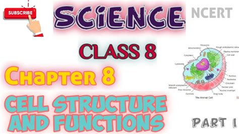 Cell Structure And Functions Chapter 8 Class 8 Youtube
