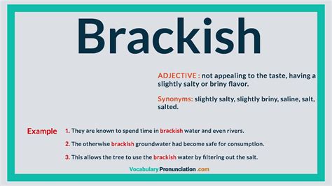 How To Pronounce Brackish L Definition Meaning Example And Synonyms