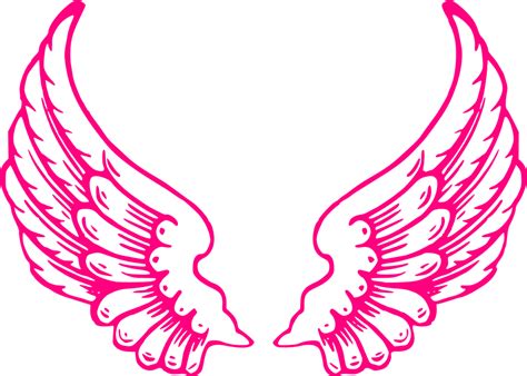 Wings Angel Feathers Of · Free Vector Graphic On Pixabay