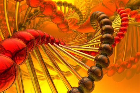 Researchers Discover Brca1 Gene Is Key For Blood Forming Stem Cells