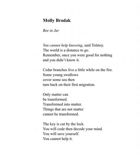 Poem Bee In Jar Molly Brodak Rpoetry