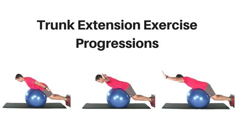 Trunk Extension Exercise Progressions My Rehab Connection