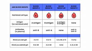 Blood Types And Matching Blood Product Transfusions American Cancer