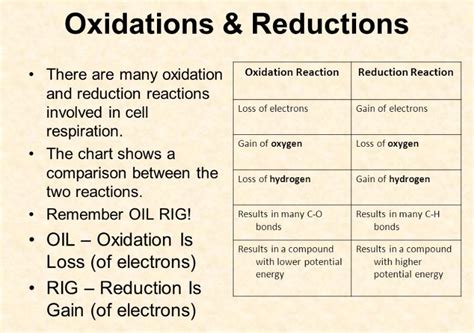 Difference Between Oxidation And Reduction Compare The Difference Images