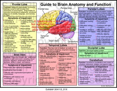 21 The Brain Parts And Functions Chart  Ladif M Simpson
