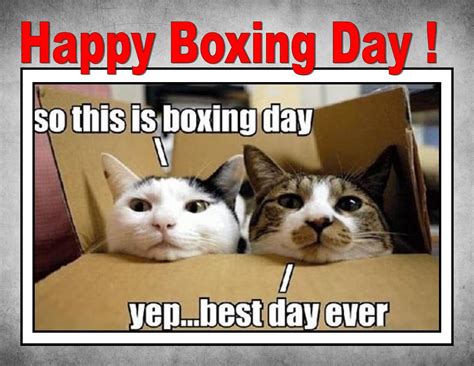 Funny Happy Boxing Day Pics Funny Png