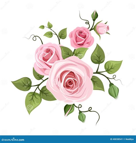 Rosas Cor de rosa Ilustração Do Vetor Ilustração do Vetor Imagem