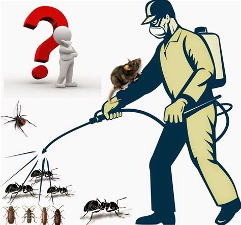 Pest control in charleston, sc. 17 Best images about Pest control in Bangalore on ...