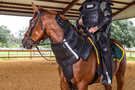 How To Keep A Police Horse Safe When Crowd Control Situations Escalate