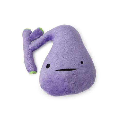 Van breda vriesman, robin smithuis, dries van engelen and julien b.c.m. Plush Organs | Brain, Heart, Kidney, Uterus Toy | Plush ...