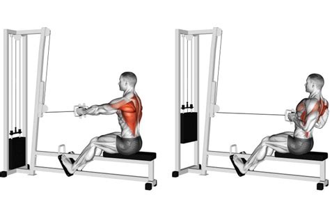 Guide To Mastering The Cable Row Benefits Form Variations
