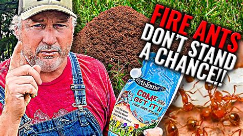 The Only Way You Can Control Fire Ants While There Are Many Different Products Out There For