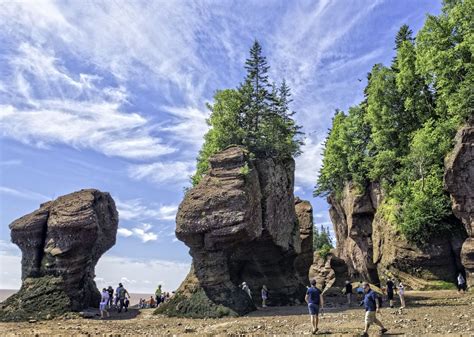 New Brunswick Canada 9 Places Not To Miss On Your Trip