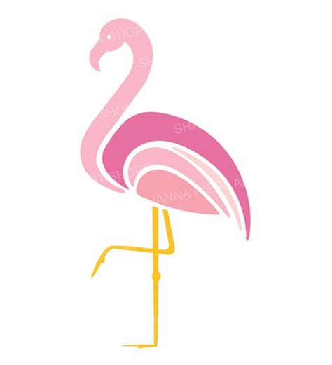 2 Flamingos Clipart 10 Free Cliparts Download Images On Clipground 2024