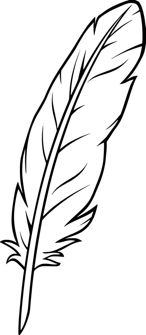Coloriage Plume Feather Clip Art Feather Stencil Feather Template