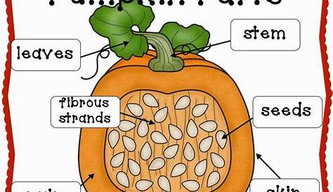 A Neighborhood Kindergarten : Pumpkin Patch CCSS Math, Science, & ELA