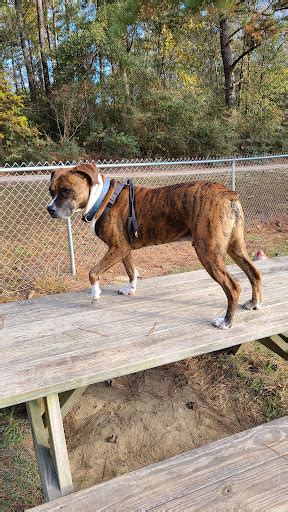 Hub City Humane Society Animal Shelter Hattiesburg Mississippi