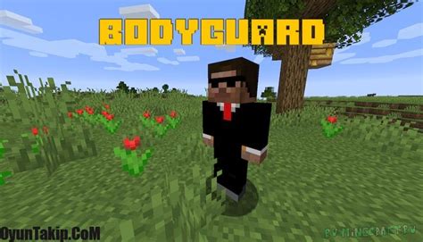 Bodyguard Bodyguard For The Player