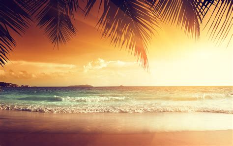 Schöner Sonnenuntergang Palmeblätter Strand Meer Tropisch Sommer