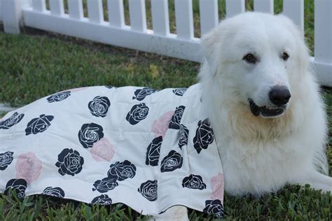 Custom Weighted Dog Blankets-For Anxiety During Thunder | Etsy