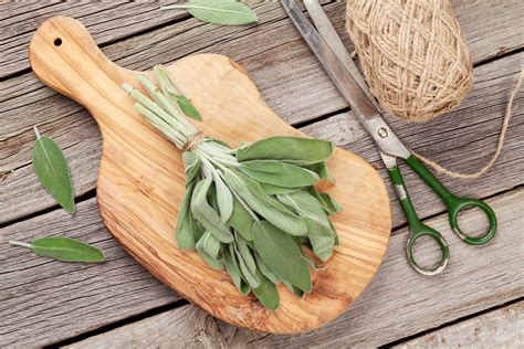 Scientists at the universities of newcastle and northumbria tested 44 people, who were either given the herb or a dummy placebo pill. Greek Sage: Cooking and Medicinal Info