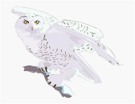 Barn Owl Flying Clip Art Black And White Clipart Images