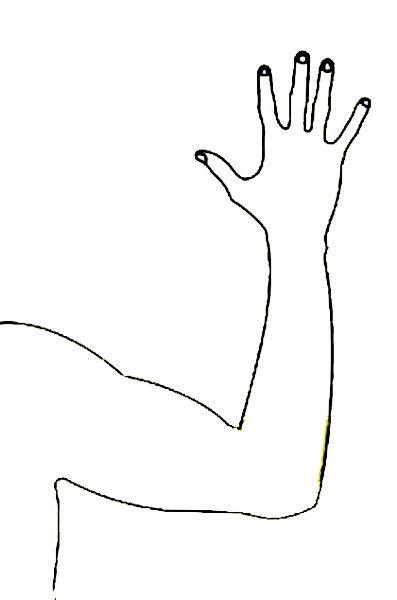 Cartoon Arms And Hands Page Coloring Pages