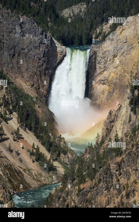 Le Cascate Inferiori Di Yellowstone River Con Rainbow Alla Base Delle