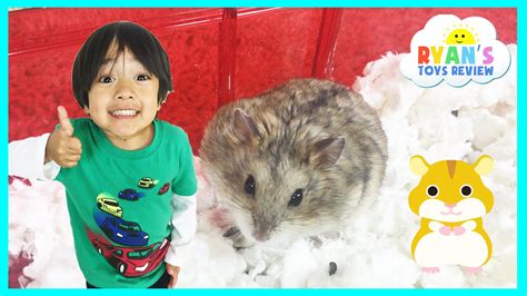 Ryan Toysreview First Pet Buying Hamster From Petsmart Youtube