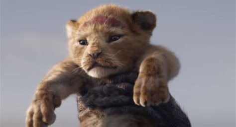 The First Full Length 3d The Lion King Trailer Is Here