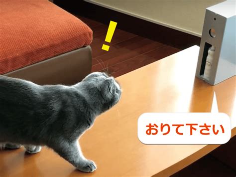 Tiktok for good advertise developers transparency. 猫のテーブル＆キッチン対策に!水を噴霧して乗ってダメな ...
