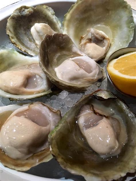 New Zealand: Bluff Oysters – Travel2Unlimited