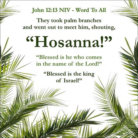 They Took Palm Branches And Went Out To Meet Him Shouting Hosanna